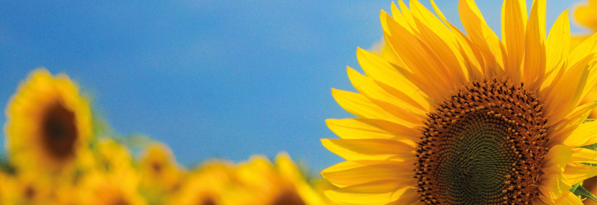 Natuurwet- en regelgeving in de praktijk