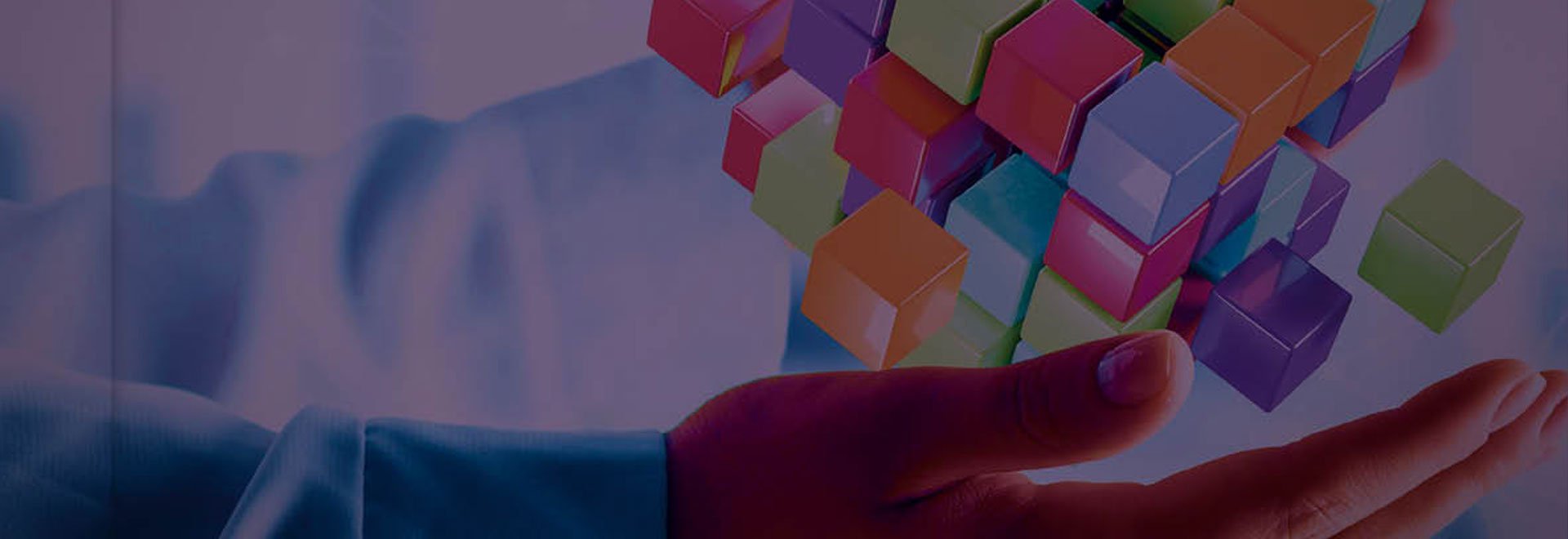 Programma Management