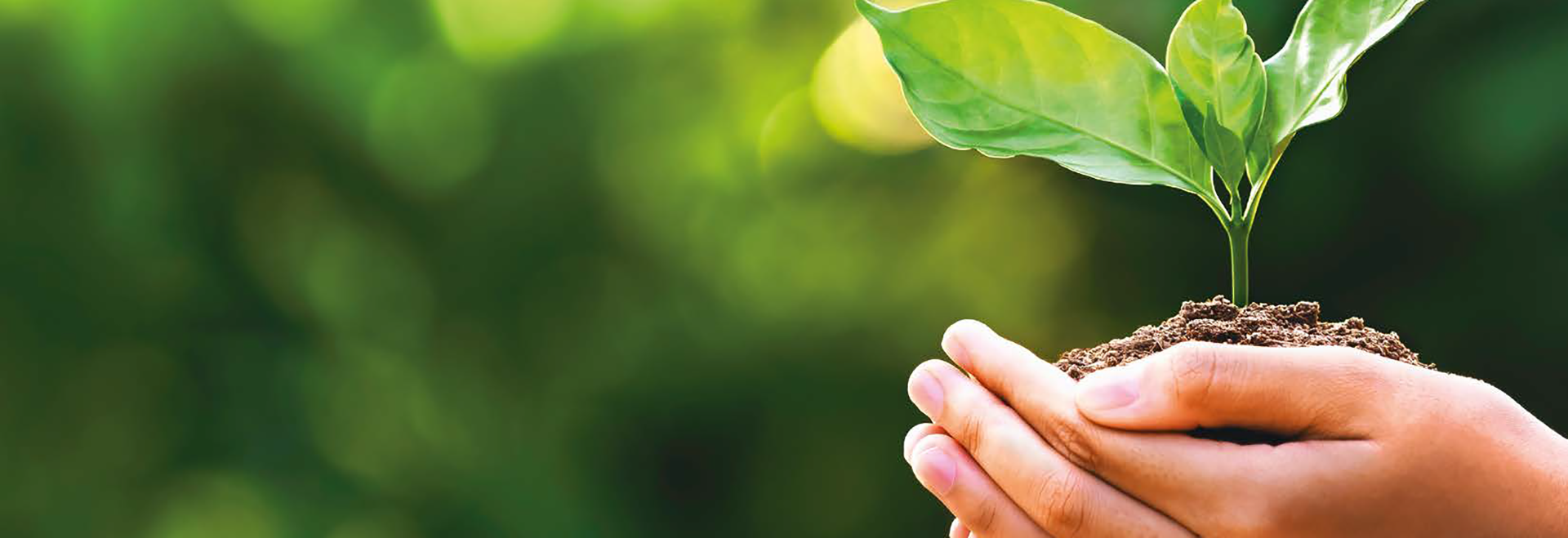 Faalangst in het VO, MBO & HO