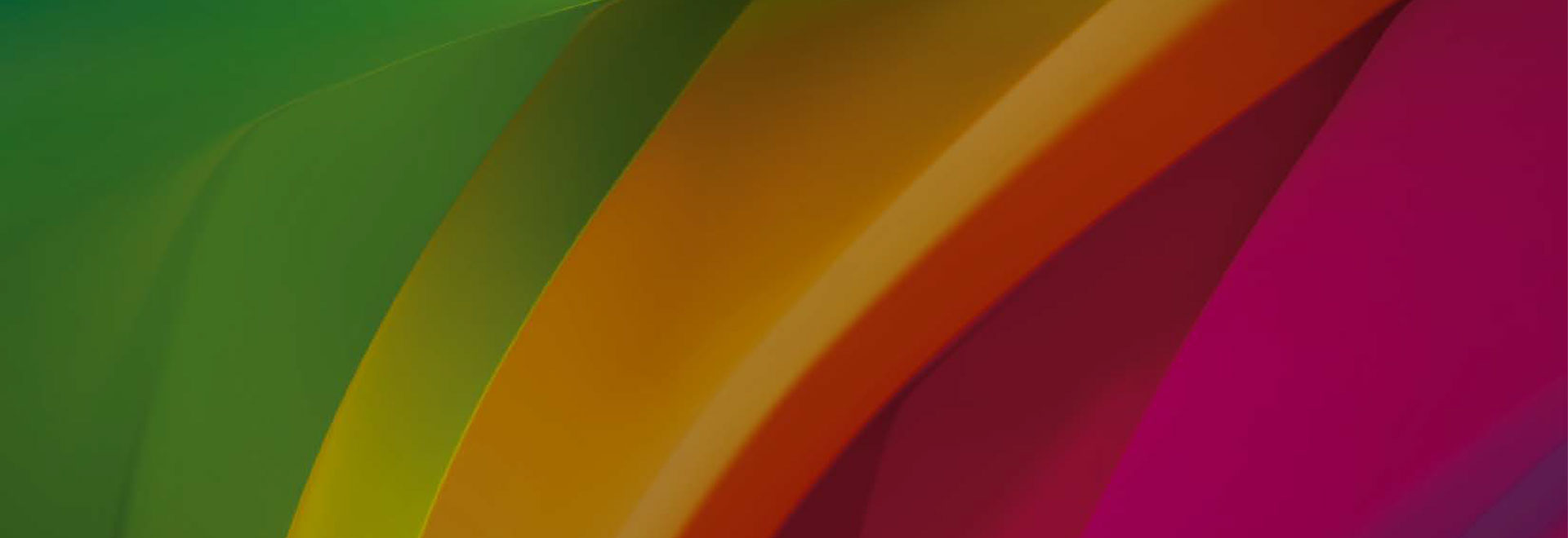 Meertaligheid en NT2-onderwijs in het VO & MBO