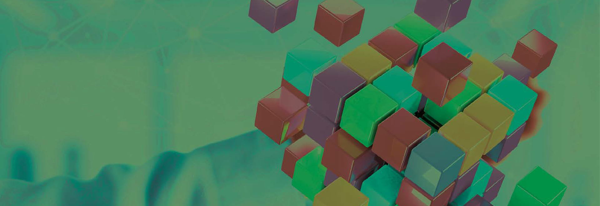 Programma Management