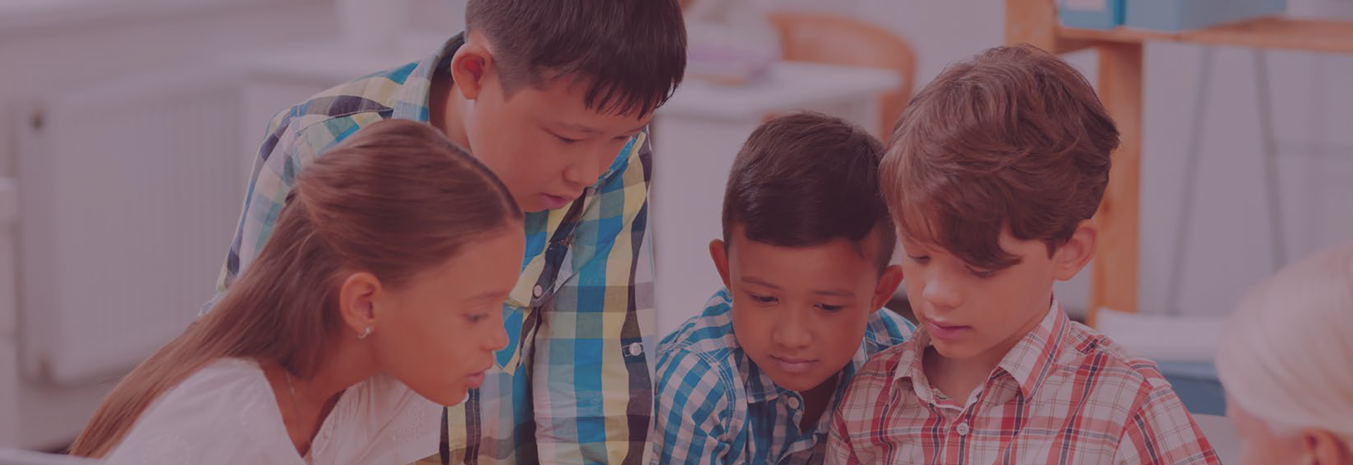 Meertaligheid en NT2-onderwijs in PO - online