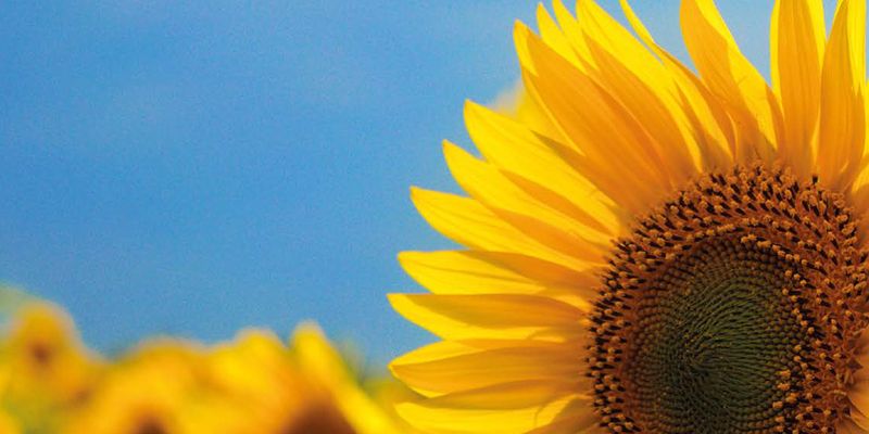 Cursus Natuurwet- en regelgeving in de praktijk