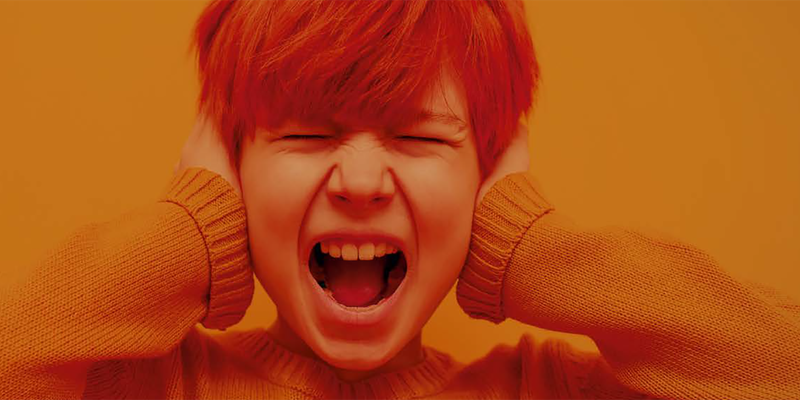 Opleiding Gedragsexpert