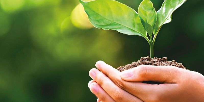 Faalangst in het VO, MBO & HO